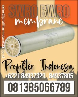 swro bwro membrane indonesia Hydranautics Suez RO Membrane Nitto