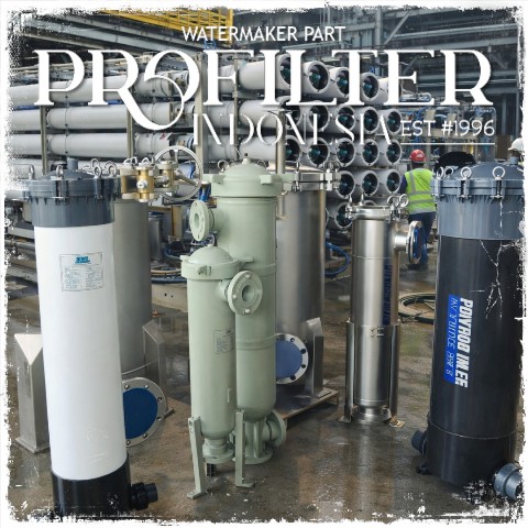 ss, pp, upvc housing bag filter and multi cartridge filter